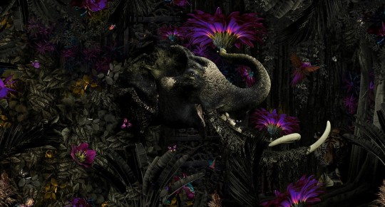 Muance MU13026 Edition 3 Amber Mumba Kanda - tropikalny mural z motywem słonia