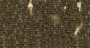 6410baff1e06f6b7cfa394b4011aac74