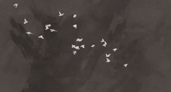 ba37ff4bc1dde8032de22076ee8c61d9