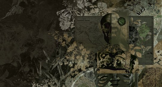 Muance MU13048 Edition 3 Amber Skull Candy - mural z motywem kwiatów, mapy i czaszki