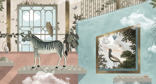 Muance MU13073 Edition 3 Amber Zebra’s Playground - mural z motywem zebry, sowy i ptaków