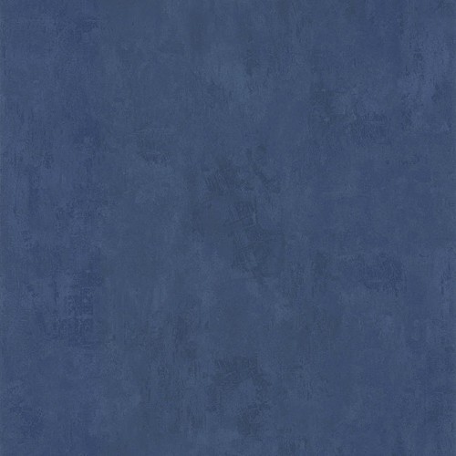 51137011.jpg