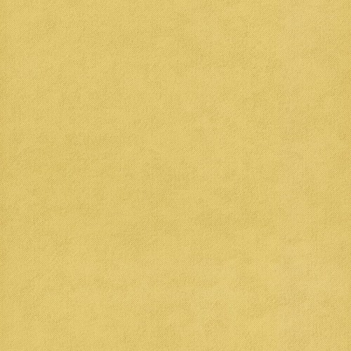11202302.jpg