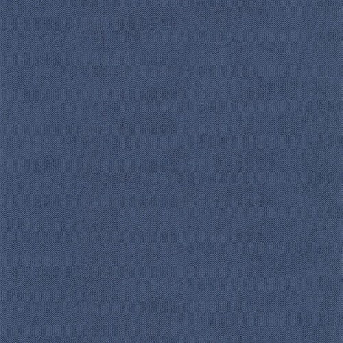 11202311.jpg