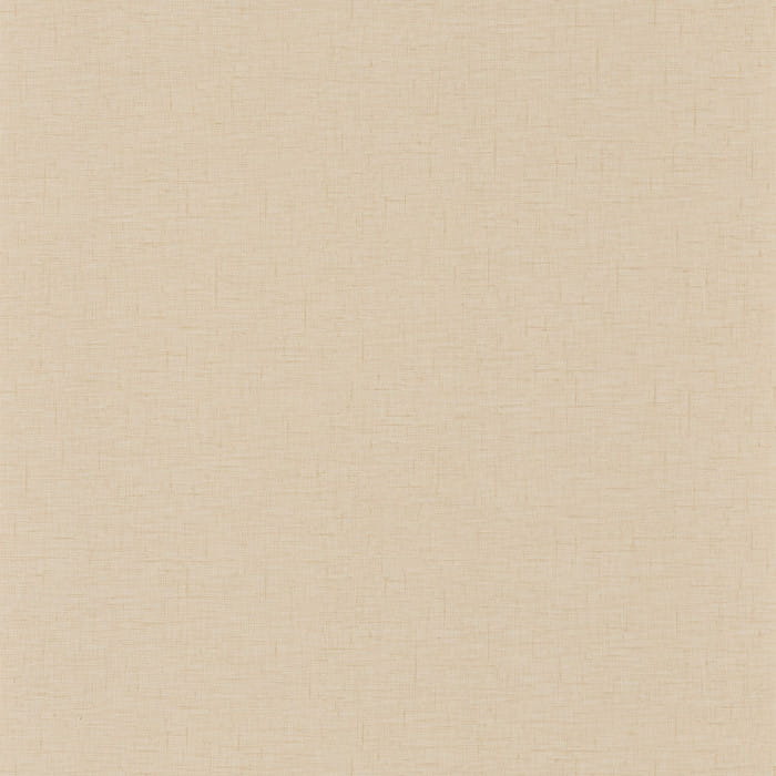 103761000.jpg