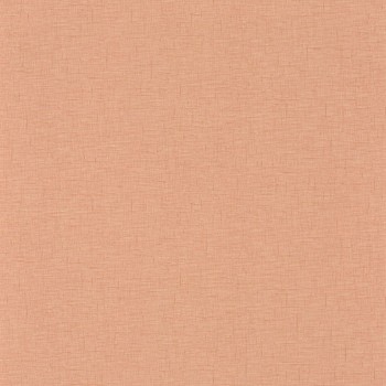 103764010.jpg
