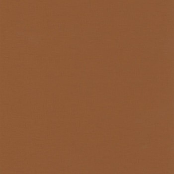 103762497.jpg