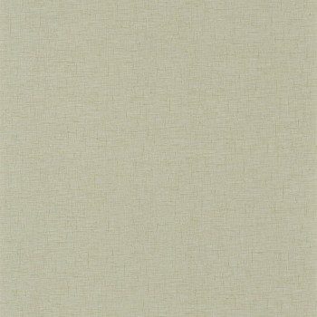 103767113.jpg