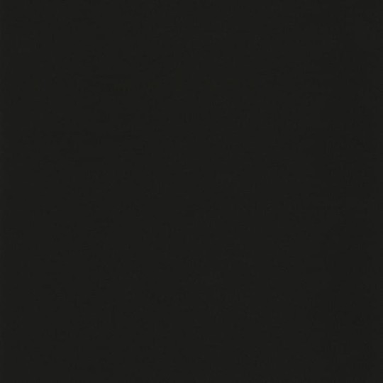 Caselio 64529800 Basics Life - czarna tapeta jednolita