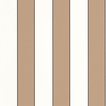 101070217.jpg