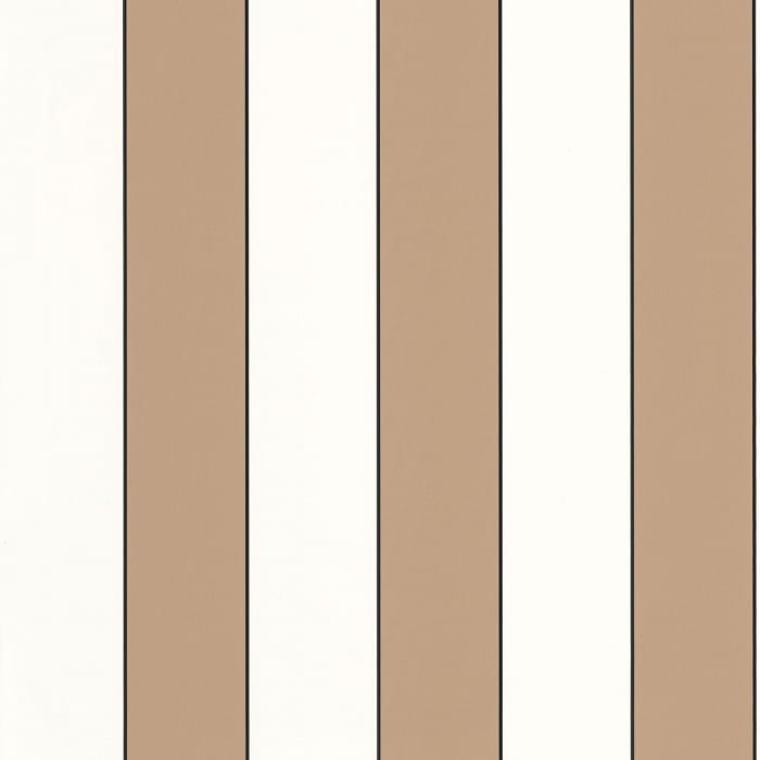 101070217.jpg