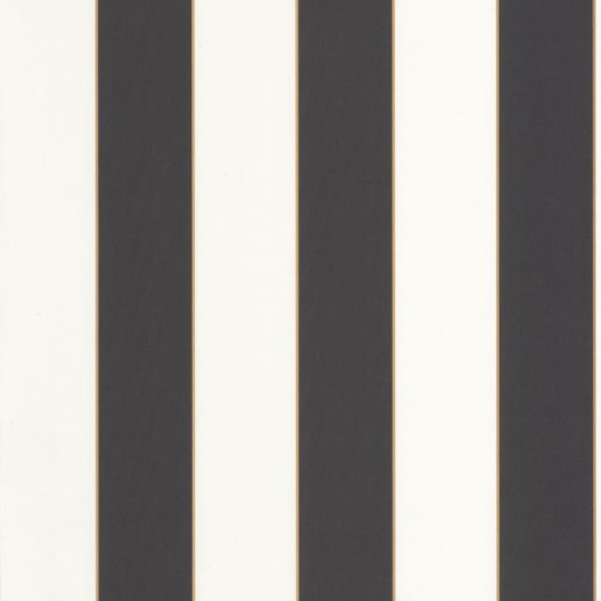 Caselio 101072092 Basics Moonlight Golden Line - tapeta w czarno-białe paski ze złotymi wstawkami
