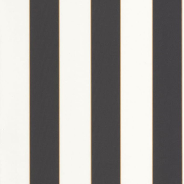 Caselio 101072092 Basics Moonlight Golden Line - tapeta w czarno-białe paski ze złotymi wstawkami