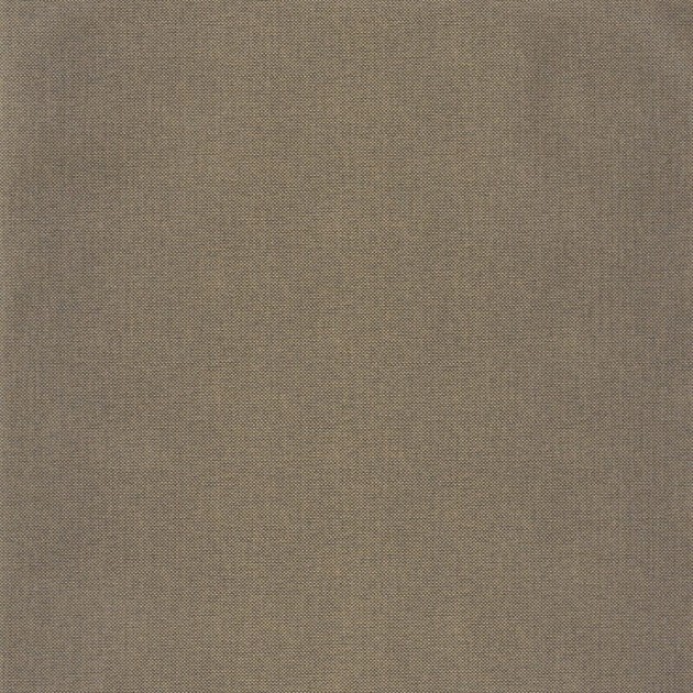 Caselio 101579120 Moonlight 2 Uni Natte Metallic - tapeta matowa