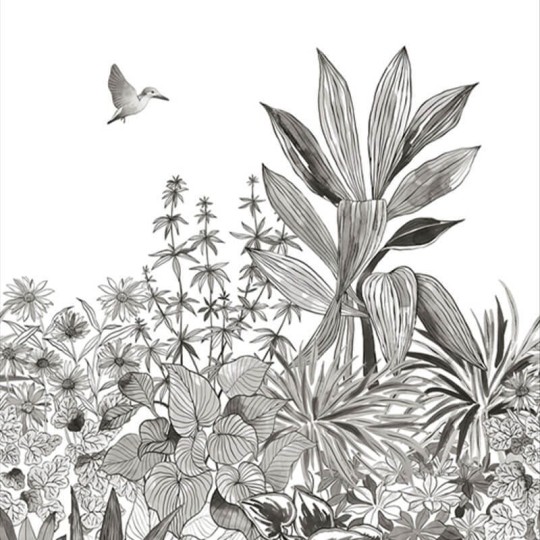 Caselio 104140934 Moonlight 2 Colibri - mural szkicowany