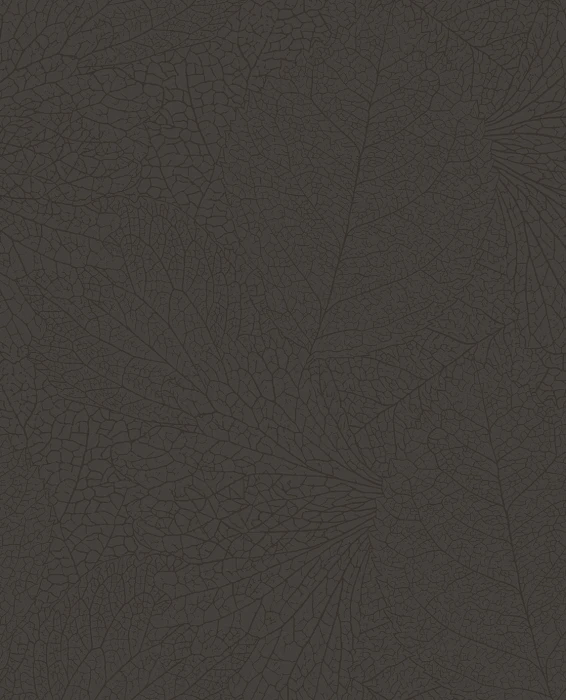 427925279b7458afb6f2e155d605ec68
