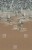 2a65bc49b3be50ac4a5e4237a4257dea