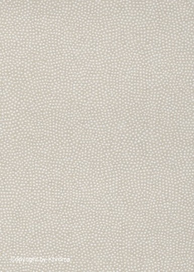 Tapeta Khroma KHARAT KHA 101