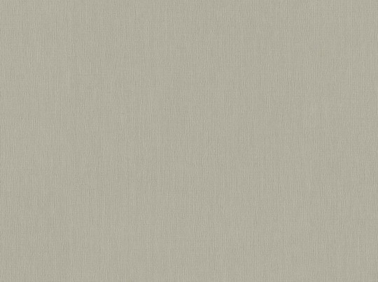 BN 221413 Monochrome Flax - szaro beżowa tapeta imitująca len