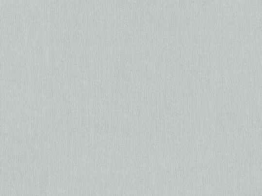 BN 221418 Monochrome Flax - szara tapeta imitująca len