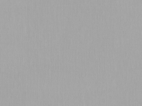 BN 221419 Monochrome Flax - szara tapeta imitująca len