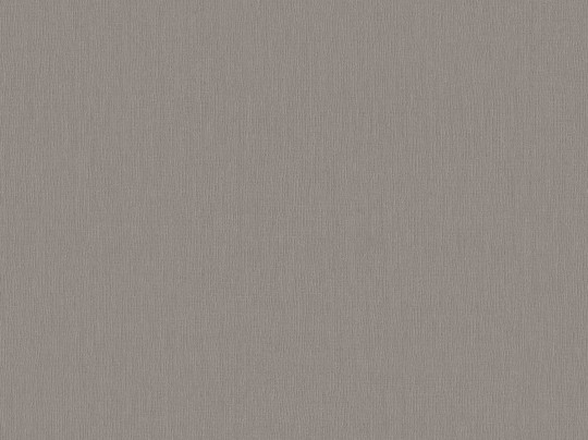 BN 221422 Monochrome Flax - ciemnoszara tapeta imitująca len