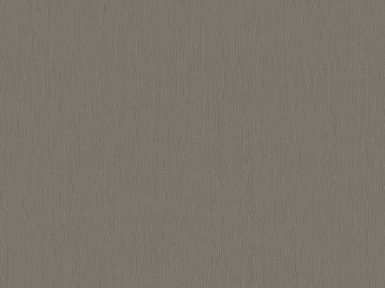BN 221423 Monochrome Flax - ciemnoszara tapeta imitująca len