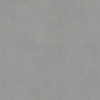 80839333.jpg