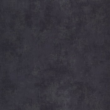80836812.jpg