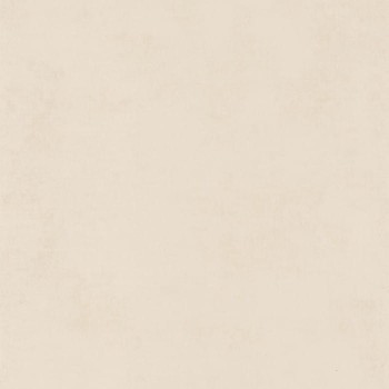 80831111.jpg