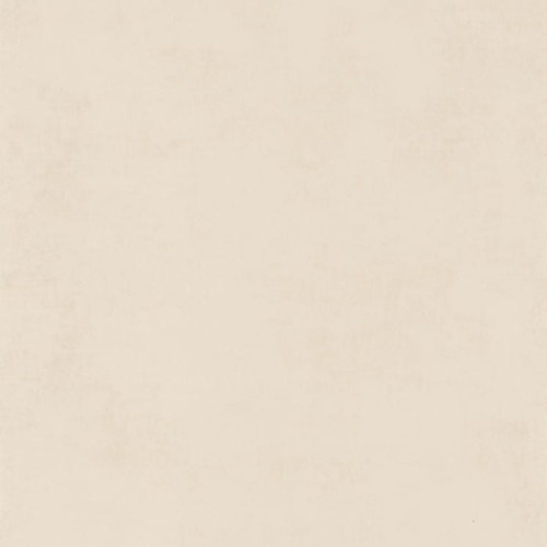 80831111.jpg
