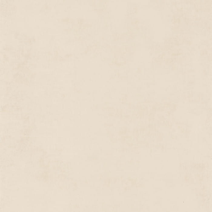 80831111.jpg