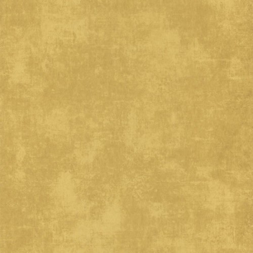 80832222.jpg