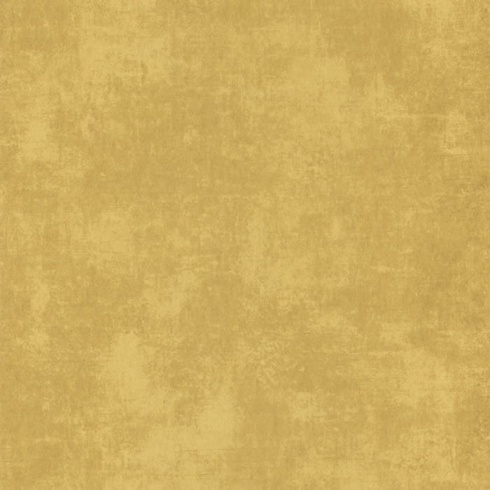 80832222.jpg