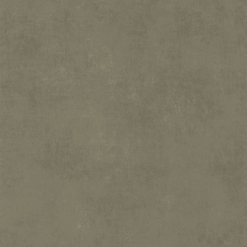 80837434.jpg
