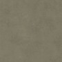 80837434.jpg