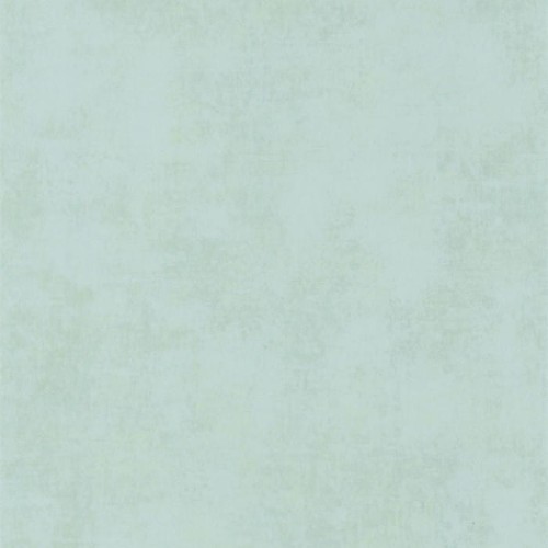 80837143.jpg