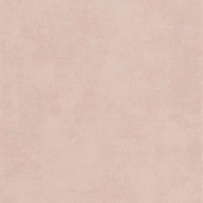 80834174.jpg