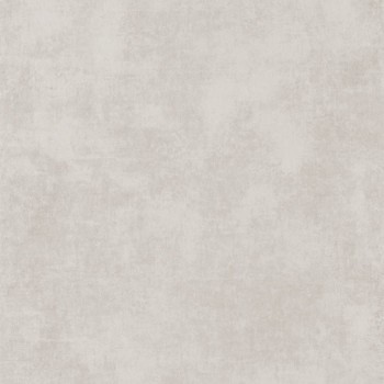 80831202.jpg