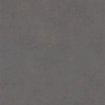 80832528.jpg