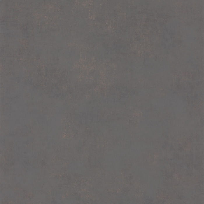 80832528.jpg