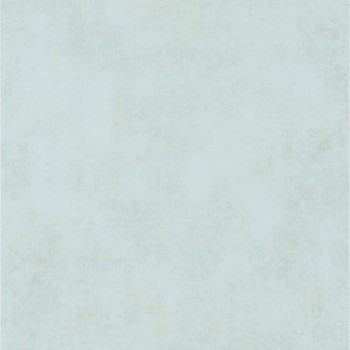 80836116.jpg