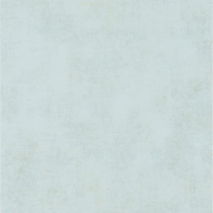 80836116.jpg