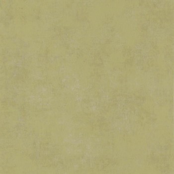 80837207.jpg