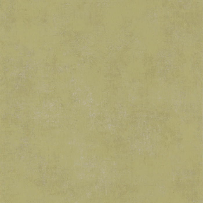 80837207.jpg