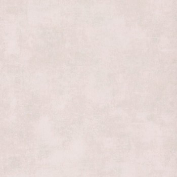 80834208.jpg
