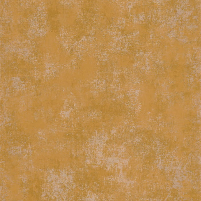 80832661.jpg