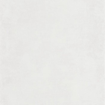 80830101.jpg