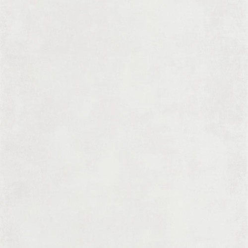 80830101.jpg