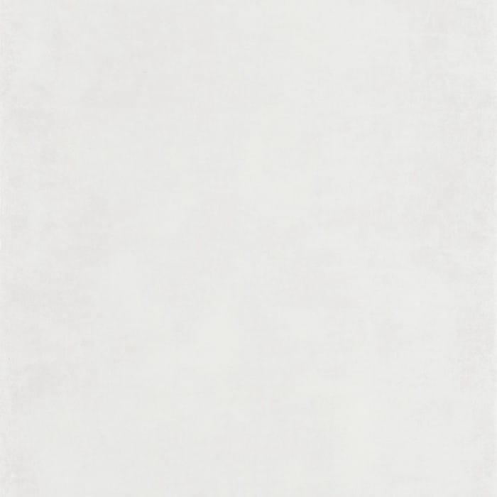 80830101.jpg